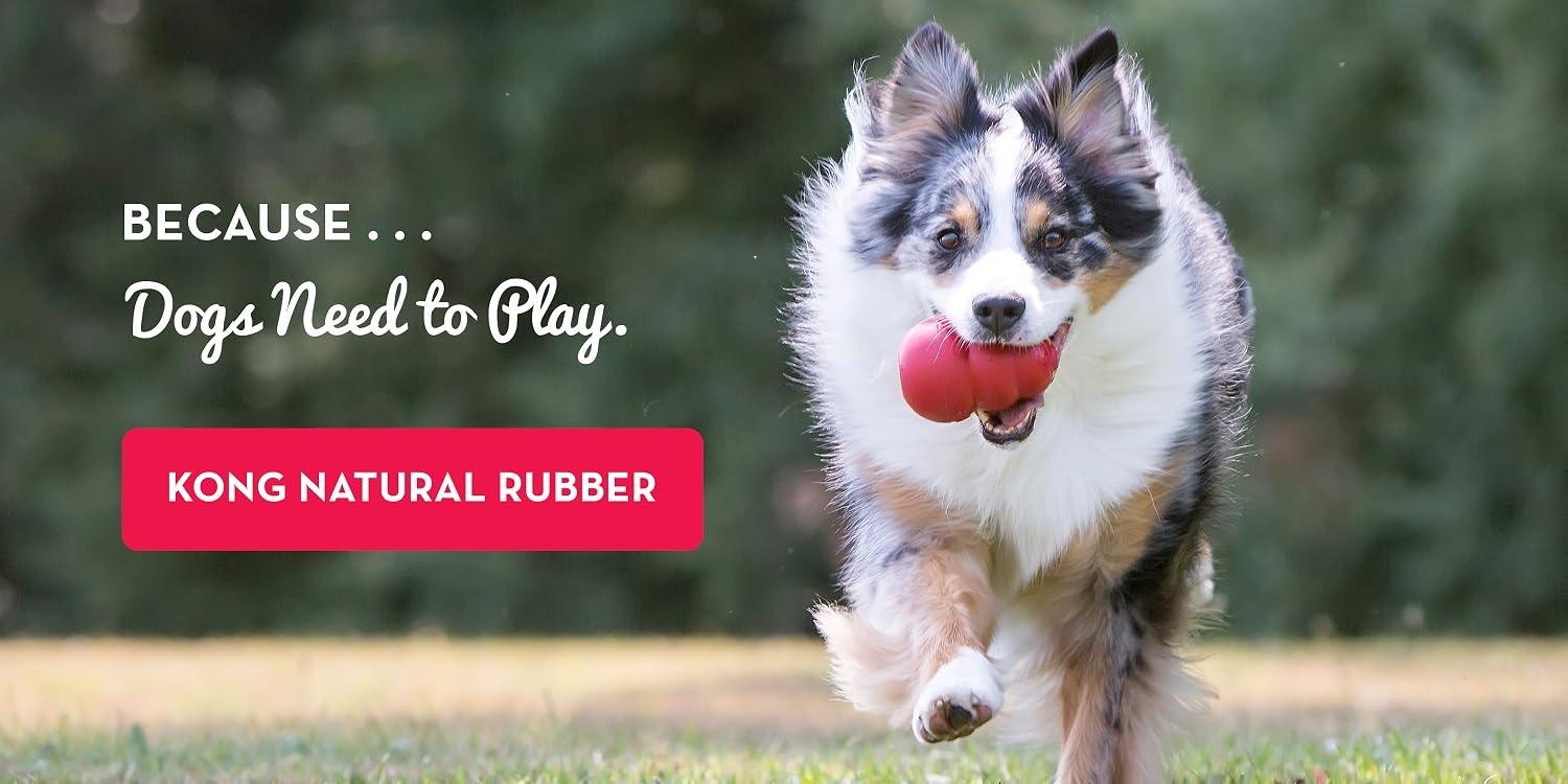 KONG Official Store KONG | Durable Interactive Pet Toys – Safe Natural Rubber Toys For Teething, Crate Training, Boredom Relief - KONG Official Store
