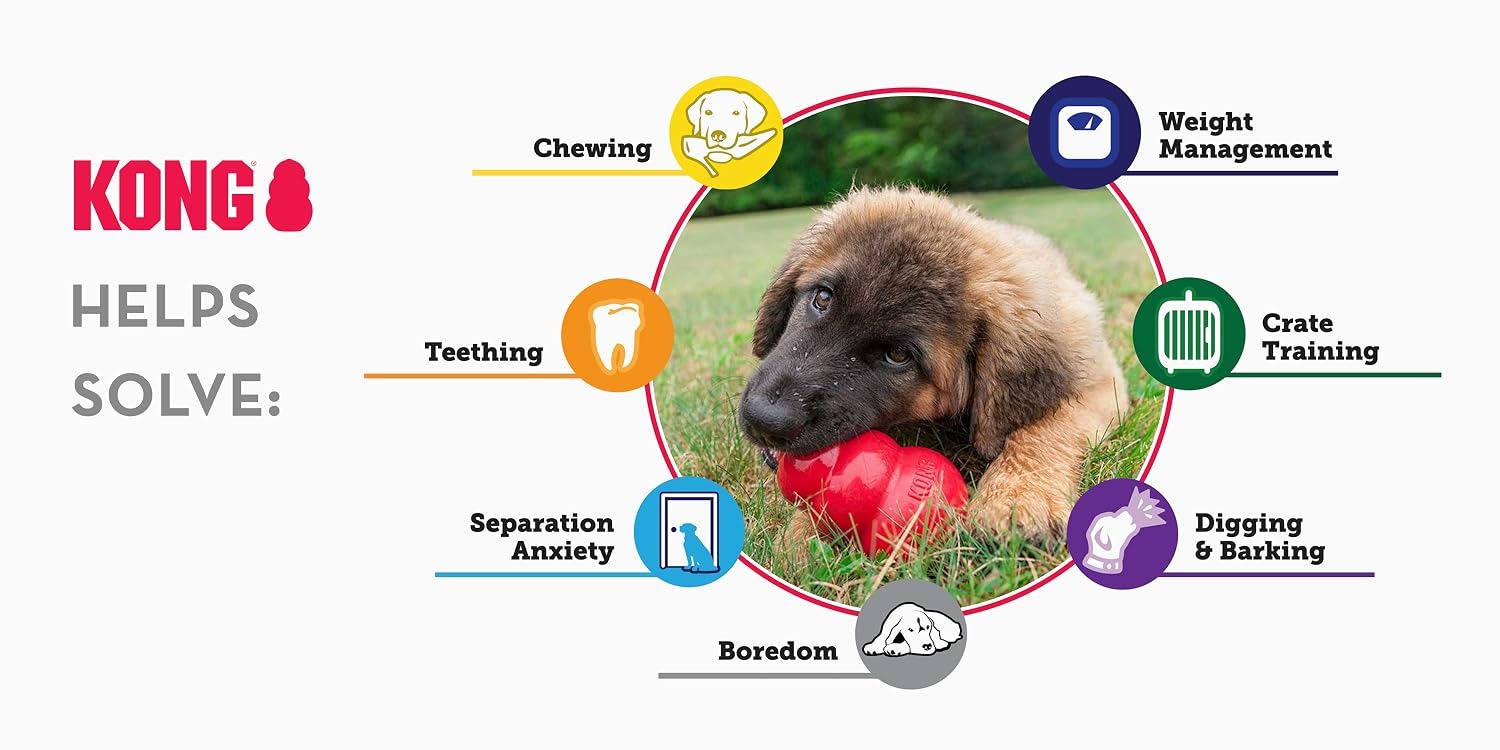 KONG Official Store KONG | Durable Interactive Pet Toys – Safe Natural Rubber Toys For Teething, Crate Training, Boredom Relief - KONG Official Store
